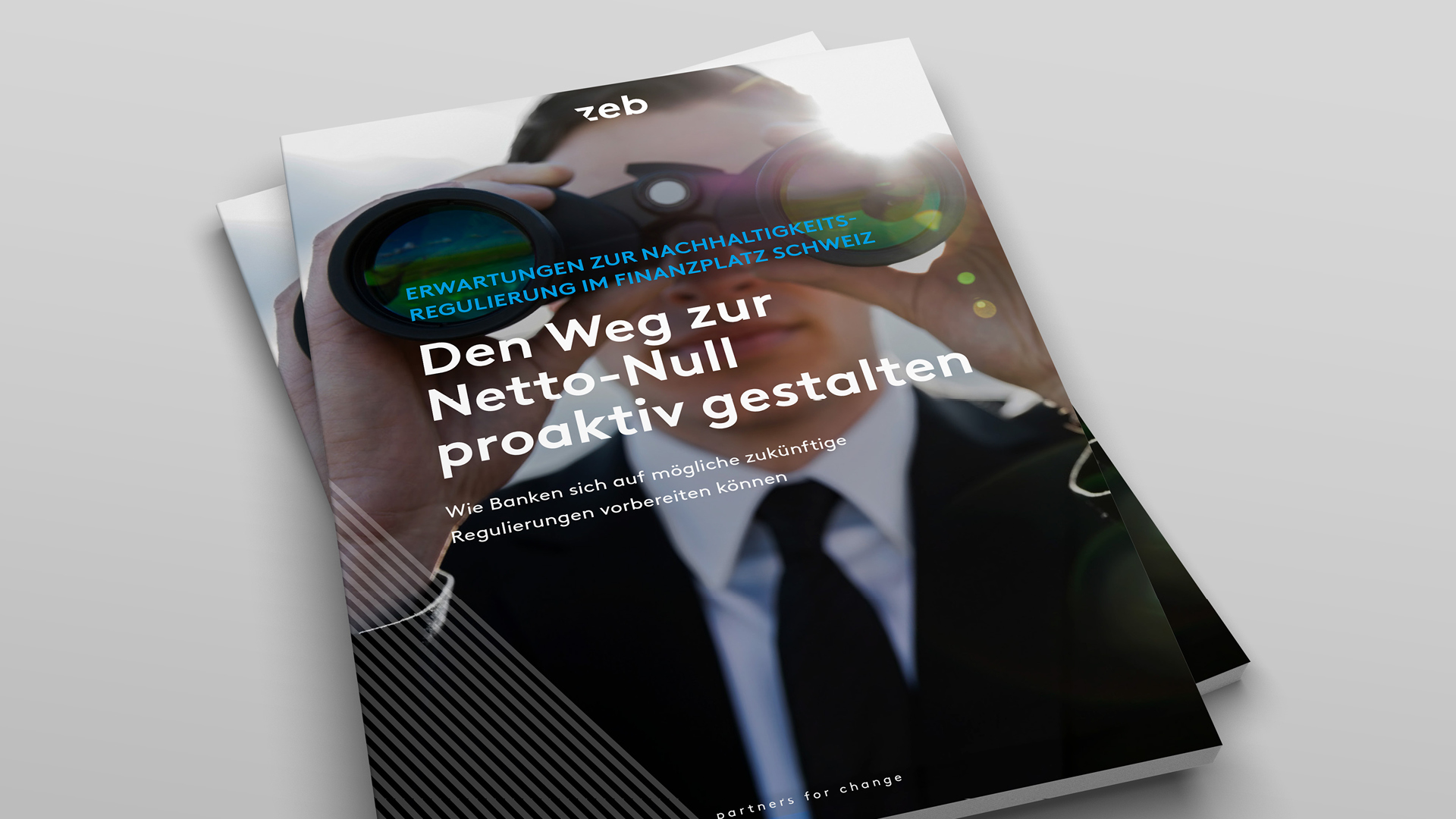 ESG Regulatorik Visual