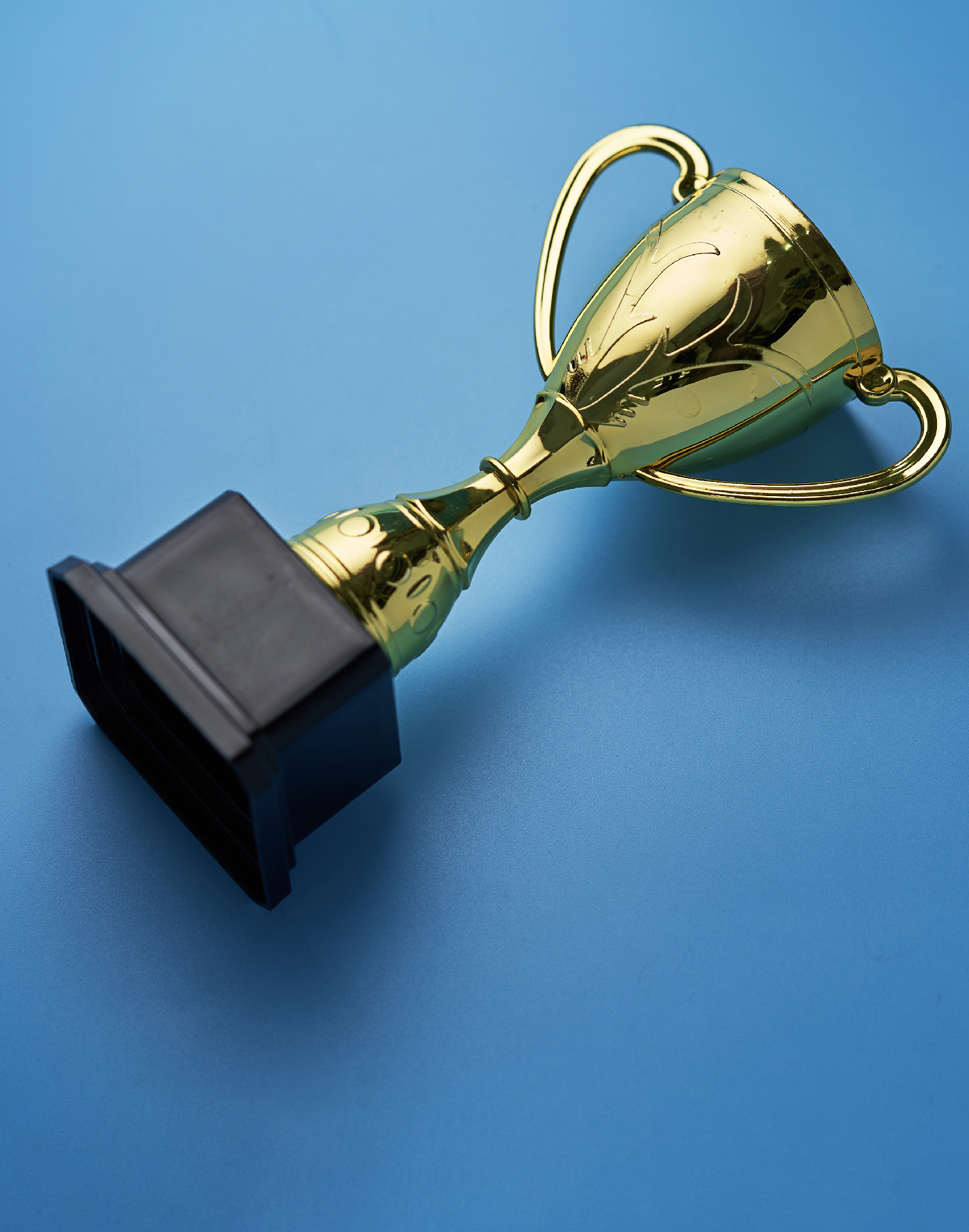 Eine Nahaufnahme einer Trophäe