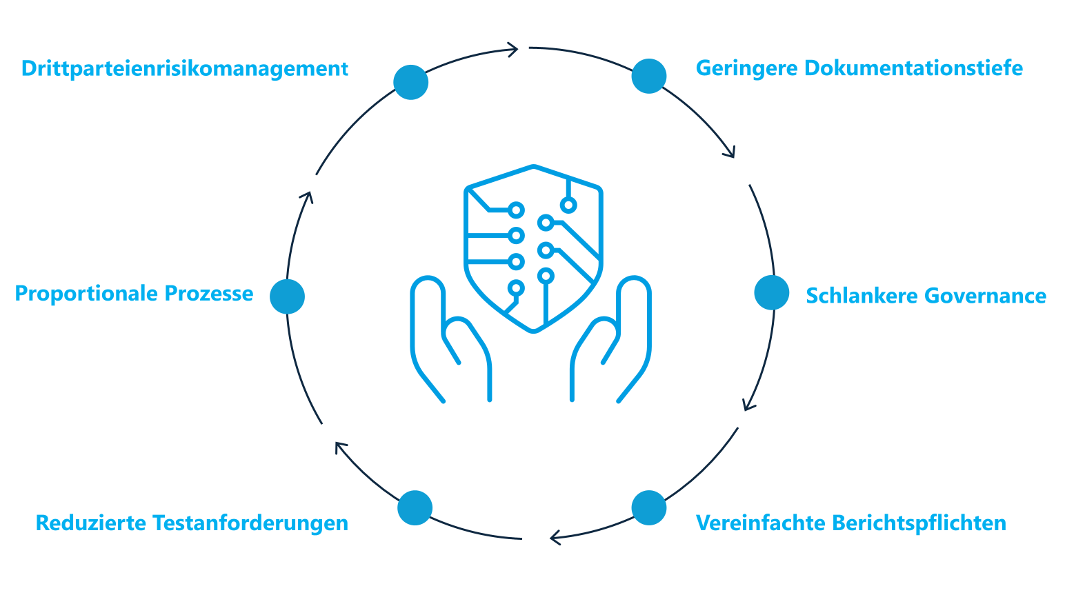 IKT Risikomanagement DORA