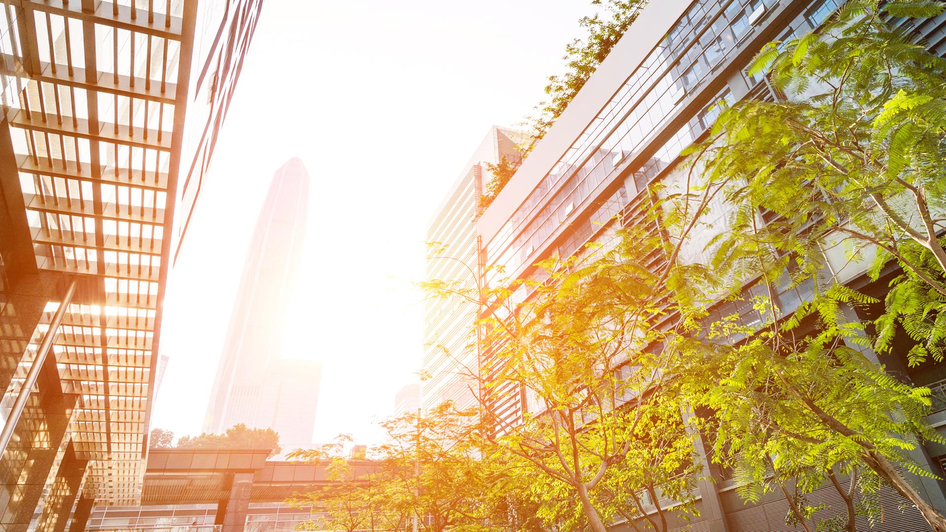 campus_Sustainable Finance_1920x1080