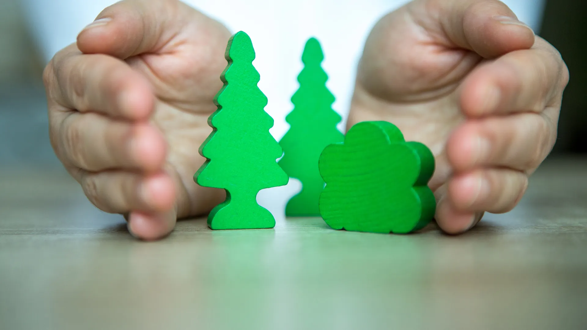 a person's hands protecting a group of green trees