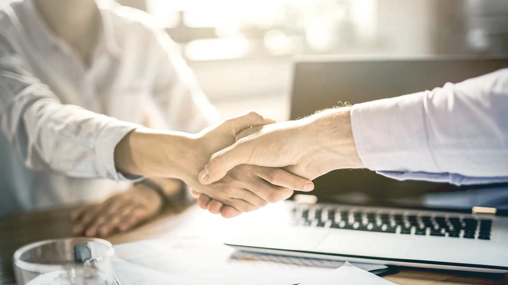 a close-up of a handshake