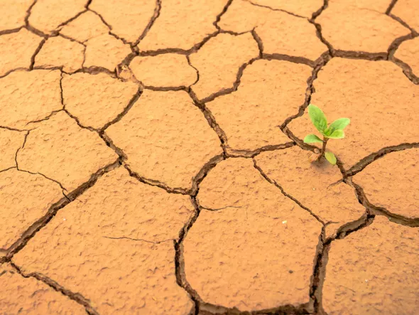 EBS Climate Change EBS Climate Change