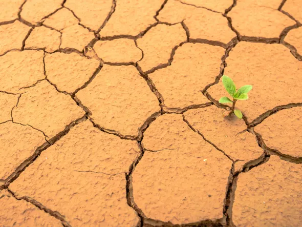 EBS Climate Change EBS Climate Change