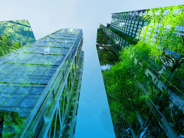 looking up view of tall buildings with trees in the background