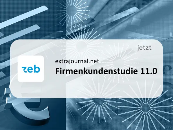 Firmenkundenstudie 11.0