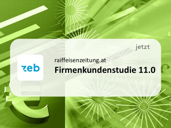 FIrmenkundenstudie 11.0