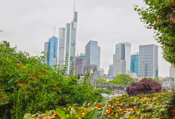a city skyline with trees and bushes a city skyline with trees and bushes