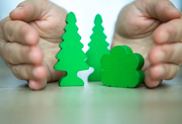 a person's hands protecting a group of green trees a person's hands protecting a group of green trees