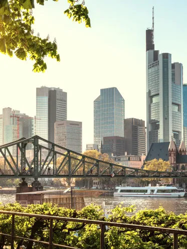 a bridge over water with a city in the background