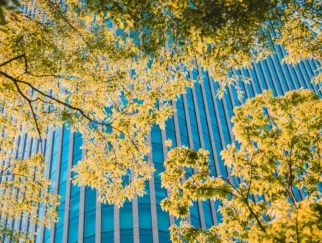 Zinswende 2.0 und die Rolle der Banken bei der Biodiversitätskrise