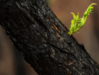 Visual_Resillienz_LP_1920x1080