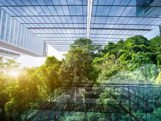 Eine Grünlandschaft, die sich an einer senkrechten Ansicht von Hochhäuser ausbreitet.