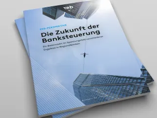 Cover_Banksteuerung_2025_LP.jpg Cover_Banksteuerung_2025_LP.jpg
