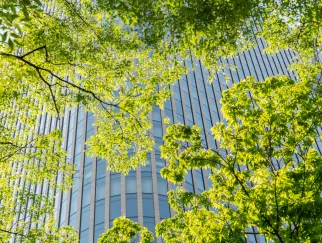 ESG-Risiken bei Regionalbanken