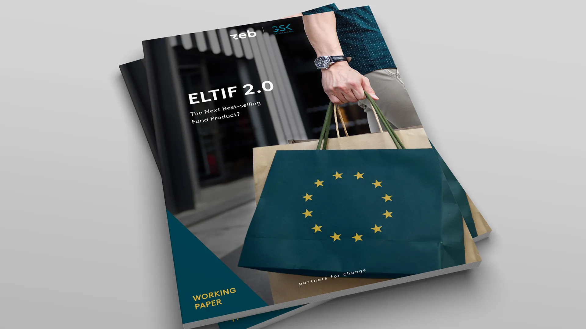ELTIF zeb.working paper