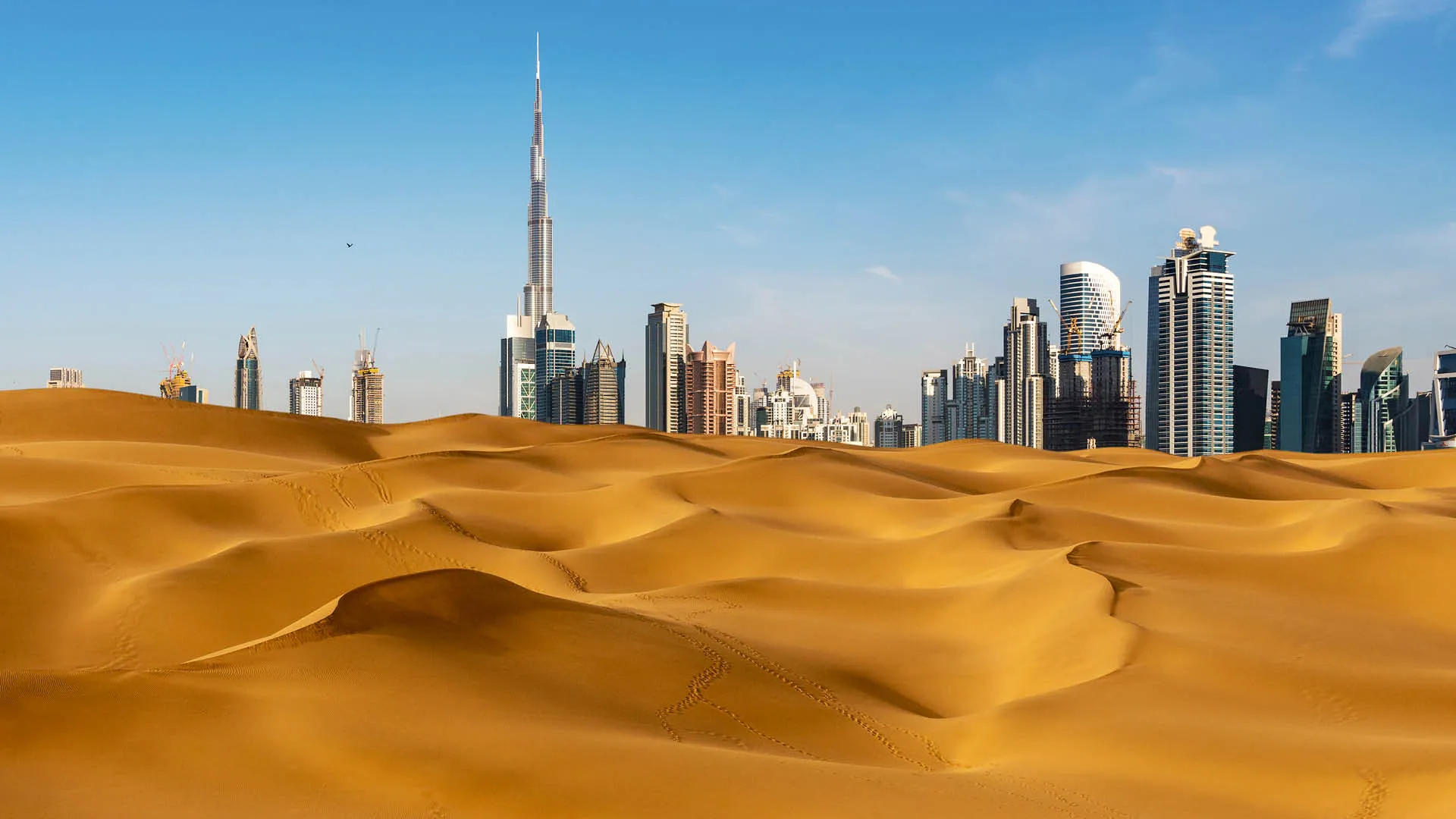 a sand dunes with a city skyline in the background