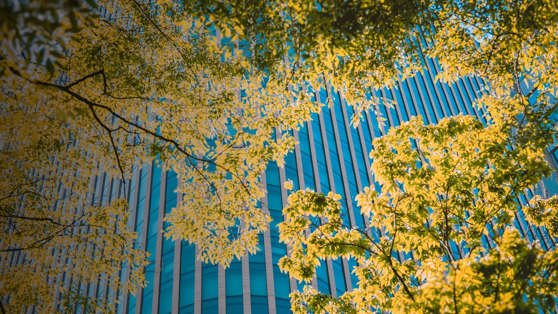 a tall building with trees in front of it