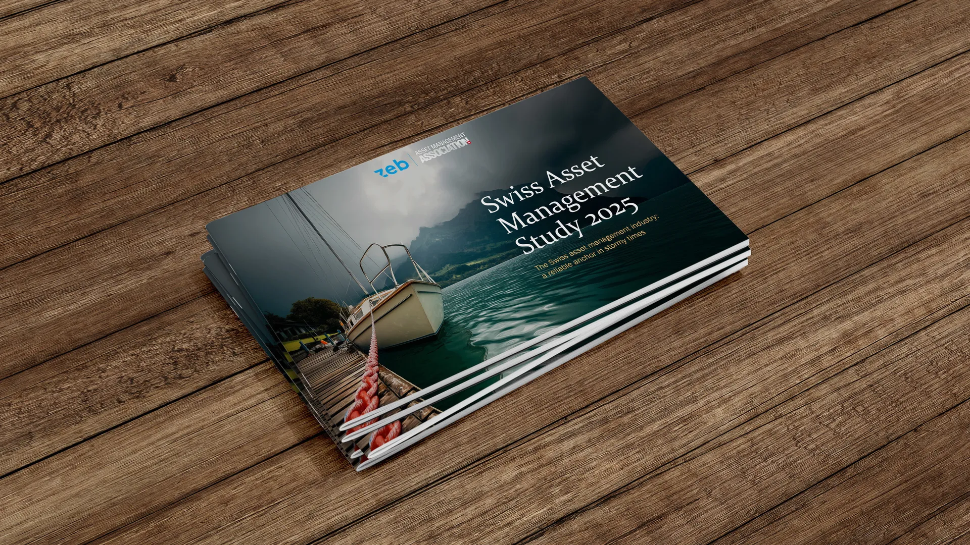 AMAS Asset Management Studie